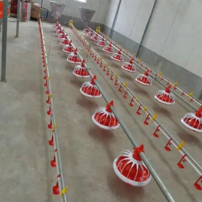 380v equipo de granja avícola 3 pan/3m sistema automático de alimentación de bandeja