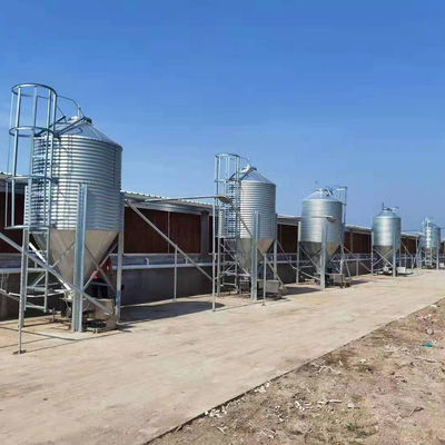 Silo de almacenamiento de grano galvanizado contenedores de alimentación agrícola de cría de animales