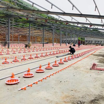 Sistema de alimentación automática de 220V 380V para aves de corral Dia 45mm