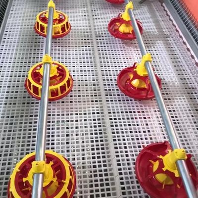Máquina galvanizada de la avicultura del tubo 10 años de vida útil