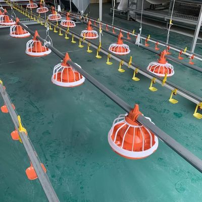 Alimentador automático de aves de corral Dia.25mm para pollos de engorde 10 años de vida útil