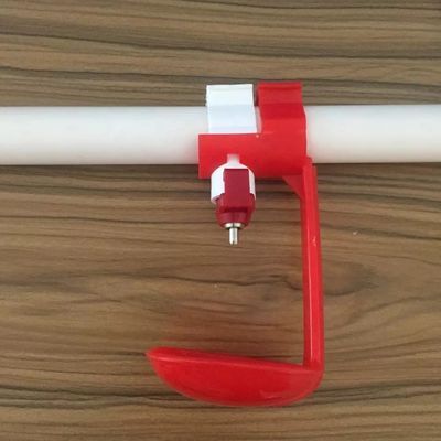 Bebedero automático para pezones de pollo de 5-10 pájaros, tubería de agua de 22*22mm