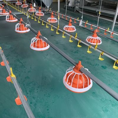 EO que alimenta el sistema de alimentación automático del equipo de granja avícola para las aves de corral garantía de 1 año
