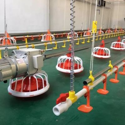 Alimentador automático de las aves de corral del equipo de granja avícola del OEM 30KG para la parrilla