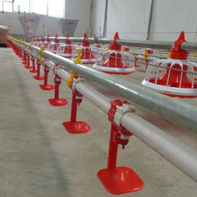 380v equipo de granja avícola 3 pan/3m sistema automático de alimentación de bandeja