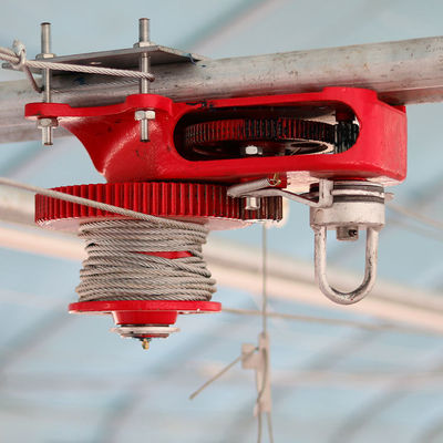 Equipo de granja avícola de 750w, sistema de alimentación de bandeja para beber pollos de 380v