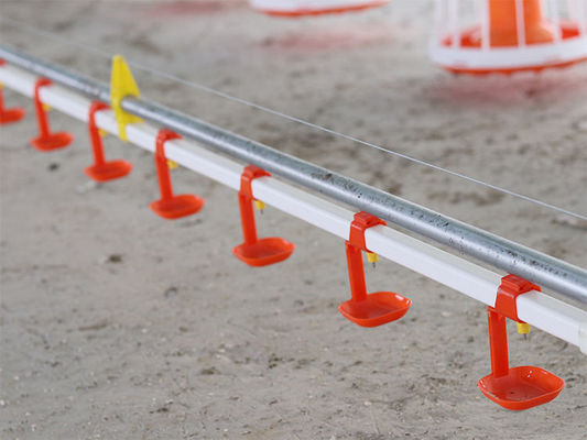 Alimentador automático material de las aves de corral de los PP para la certificación del CE de los pollos de engorde