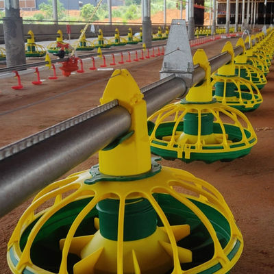 Alimentador automático material de las aves de corral de los PP para la certificación del CE de los pollos de engorde
