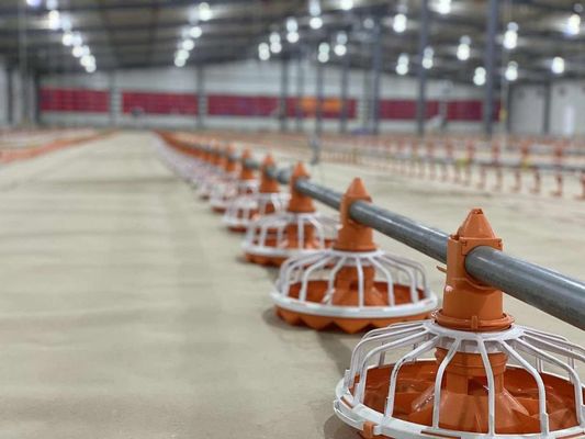 14/16 divisiones equipo de granja avícola comederos y bebedores de pollo de plástico