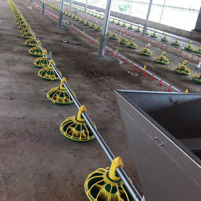 Línea de alimentación de pollos totalmente automática 14/16 particiones 450 kg/h