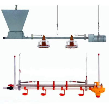 línea de alimentación de pollo completamente automática 450kg/H con tubo galvanizado tolva
