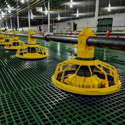 Sistema de alimentación de pezón ajustable para pollos de engorde Tolva galvanizada en caliente