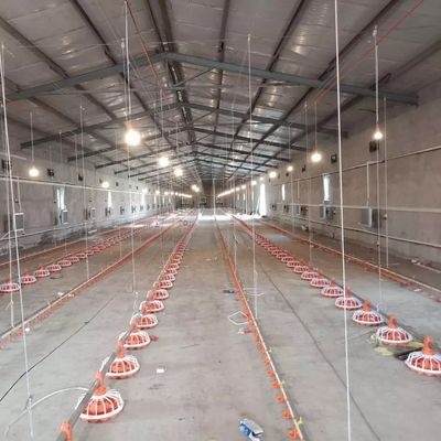 Alimentador automático de aves de corral de 16 rejillas 45-60 Capacidad de bandeja de alimentación de pollos