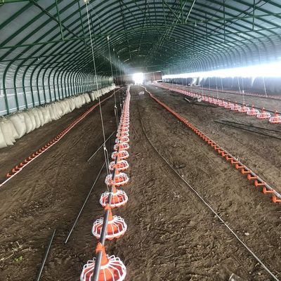 45-60 equipo de granja avícola de pollo sistema de alimentación de granja avícola de 3 pan/3m