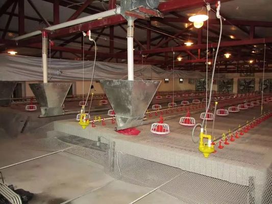 Instalación fácil del equipo de las aves de corral del pollo de la certificación del CE