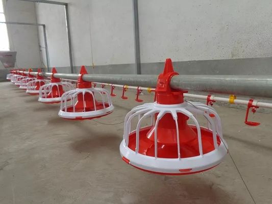 Equipo de cultivo de pollos de engorde 380v con garantía de 1 año