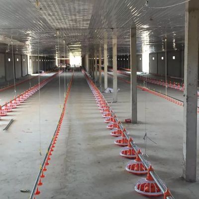 380V 50hz 3 fases equipo de granja avícola para alimentación de pollos de engorde de piso