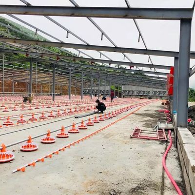 Acero galvanizado máquina de la avicultura del diámetro 45m m para los productos de los pollos de engorde