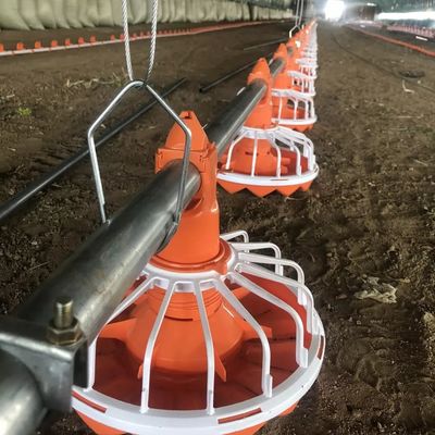 Vida de servicio larga de la instalación fácil del sistema de alimentación del pollo de 3 Pan/3m