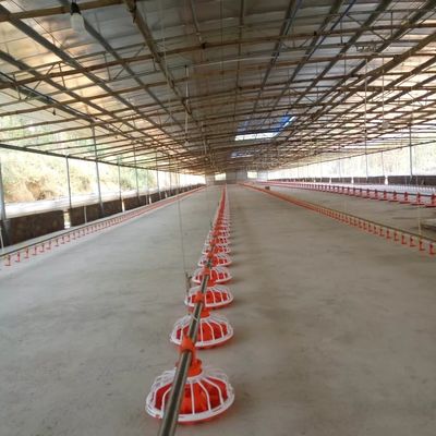 Línea de alimentación de equipos de granja avícola de 14 rejillas y 16 rejillas para pollos