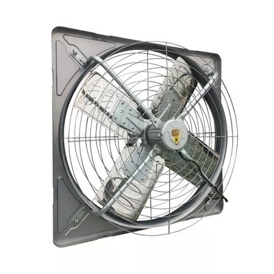 Sistema de ventilación de aves de corral de acero galvanizado para talleres de invernaderos