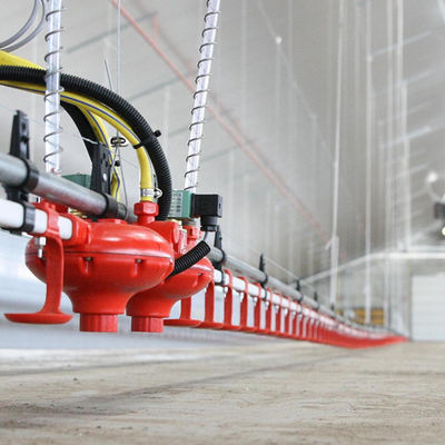 Tiempo de servicio largo del alimentador y del bebedor de las aves de corral del material plástico