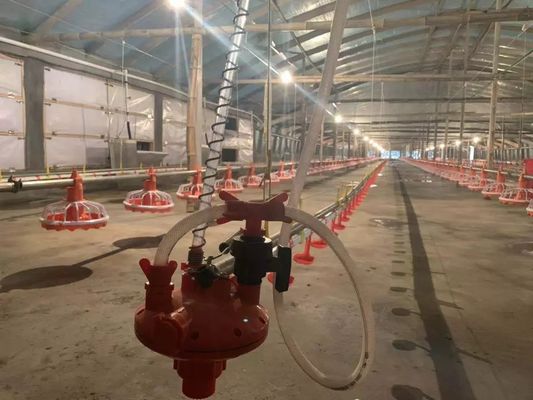 4 Pan/3m equipo alimentador de pollo 380v 0.75kw con dispositivo de conducción